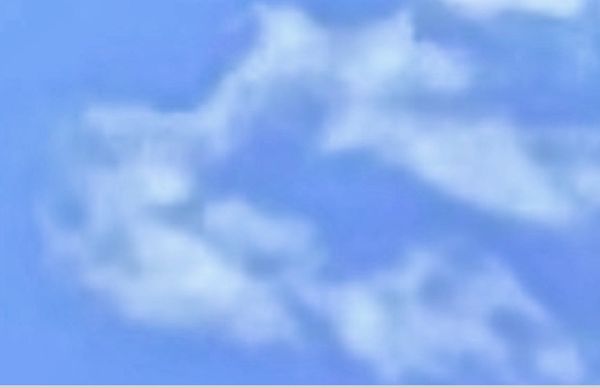 Peregrine Wines by null