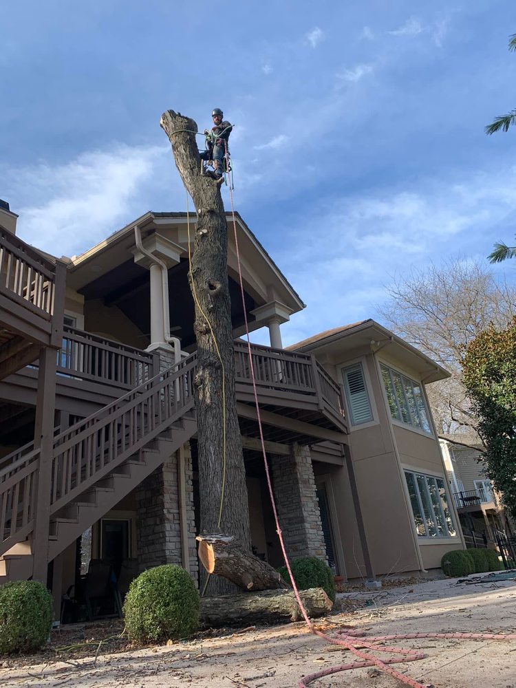 SHIER’S FAMILY TREE CARE SERVICE Updated August 2024 27 Photos