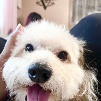 Pet Supplies Plus Vacaville - Pet Groomers Near Me - Vacaville, California Pet Supplies Plus Vacaville - Pet Groomers Near Me - Vacaville, California