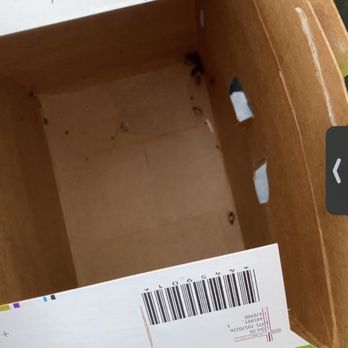Costco - Cockroaches in my cat food box - Wholesale Stores Near Me - Clifton, New Jersey Costco - Cockroaches in my cat food box - Wholesale Stores Near Me - Clifton, New Jersey