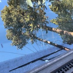 Auto Glass Professionals