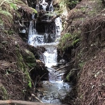 Dipsea - Hiking Near Me