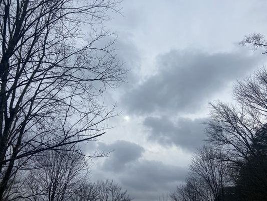 Chattahoochee Nature Center by null