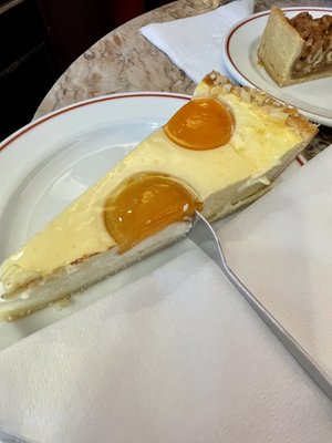 Café Gnosa by null