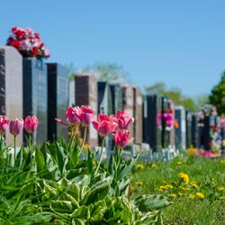 Bay View Cemetery Assn