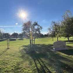Davenport Park