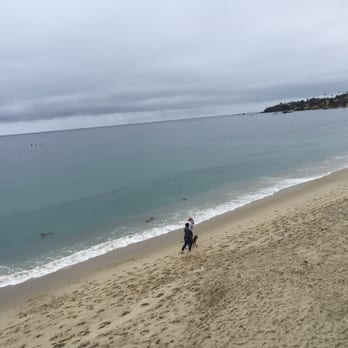 Driftwood Kitchen - The view... - Seafood Near Me - Laguna Beach, California Driftwood Kitchen - The view... - Seafood Near Me - Laguna Beach, California