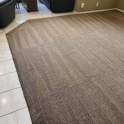 Carpet Cleaning By Tom - This is what our ten year old carpet looks like after cleaning.