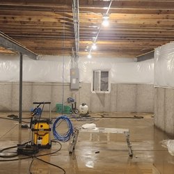 Mold Squad Restoration & Contracting