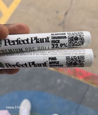 MARYJAE Cannabis Dispensary by null