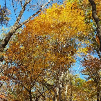 Pinnacles Hiking Trails - Hiking Near Me - Berea, Kentucky