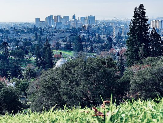 Piedmont Funeral Services and Mountain View Cemetery by null