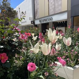 Sunshine & blooms.