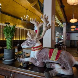Sequoia - Ready for the holidays!