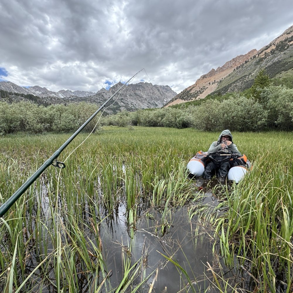 Sierra Bright Dot - Fred "anchored" in the reeds. Hanging out and giving me advice. - Fishing Near Me - Bishop, California Sierra Bright Dot - Fred "anchored" in the reeds. Hanging out and giving me advice. - Fishing Near Me - Bishop, California