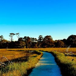 Botany Bay Plantation - Marsh views walking to Botany Bay beach