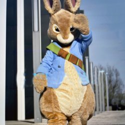 Wam Bam Entertainment - Peter Rabbit aka The Easter Bunny is just a phone call away!