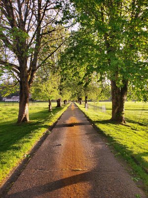 Carnation Farms by null