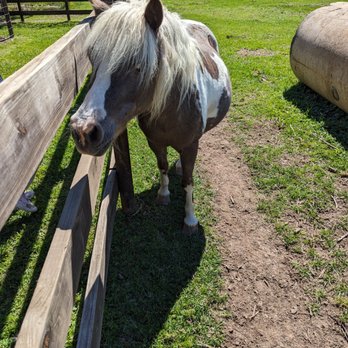 Turquoise Acres Ranch - Venues & Event Spaces Near Me - Katy, Texas