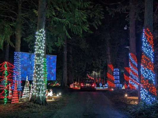 The Lights of Christmas by null