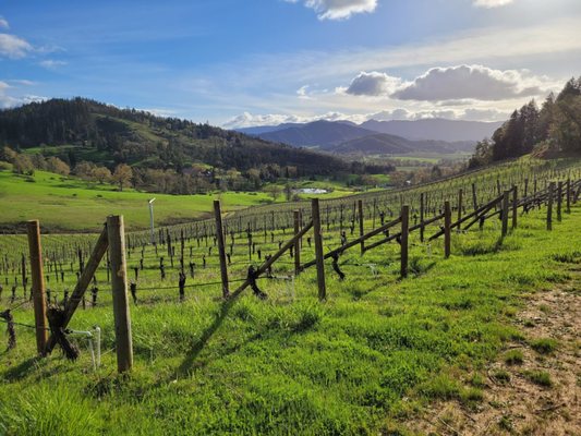 Reustle-Prayer Rock Vineyards by null