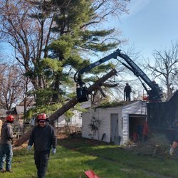 Soppa's Tree Service