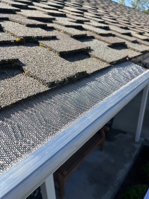 Slide of Western Sierra