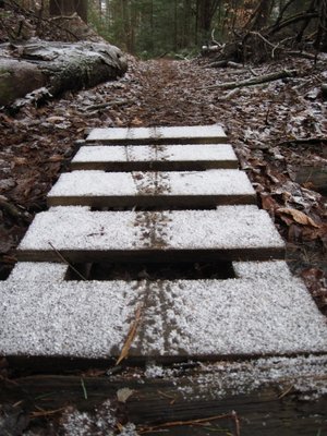 Chucks Bikes by null