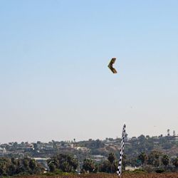 Silent Electric Flyers of San Diego