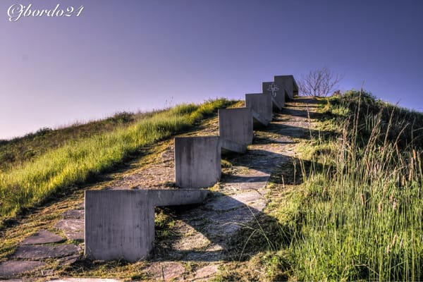 Warren G. Magnuson Park by null