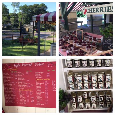 Montgomery Place Orchards by null