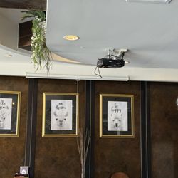 Latin Bites - Wall Decoration