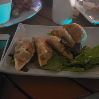 Tenzan - Gyoza and calamari - Sushi Bars Near Me - New York, New York Tenzan - Gyoza and calamari - Sushi Bars Near Me - New York, New York