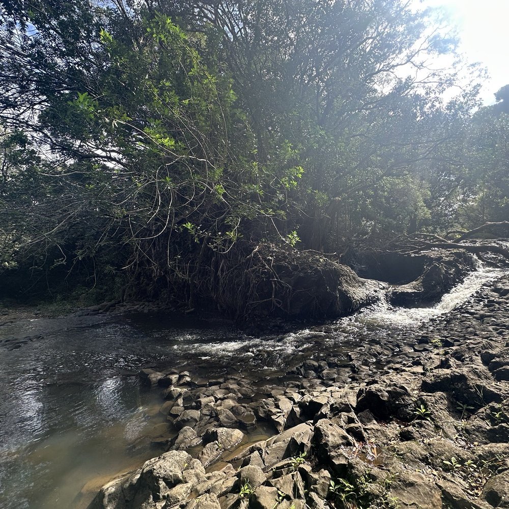 Twin Falls Trail - Hiking Near Me - Haiku, Hawaii Twin Falls Trail - Hiking Near Me - Haiku, Hawaii