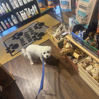 Four Muddy Paws - Pet Groomers Near Me - St. Louis, Missouri