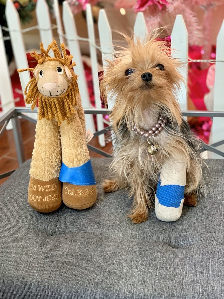 GOLDEN OAKS VETERINARY HOSPITAL 67 Photos & 227 Reviews 9155