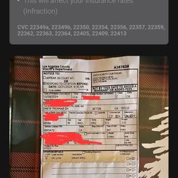 Bust My Ticket