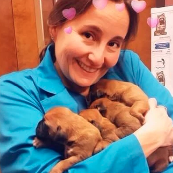 Dr. Lola's Veterinary Care - Veterinarians Near Me
