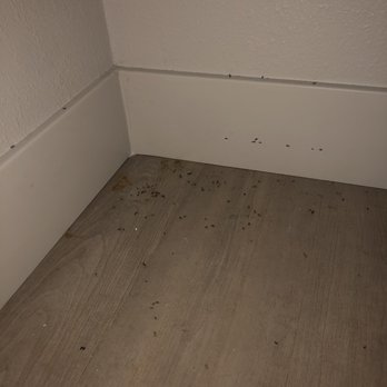 Strada 1200 Apartments - More mouse droppings.  Another cleaning after 2 mice were caught using a colleague's no-kill mouse traps from Amazon. - Apartments Near Me - Vacaville, California