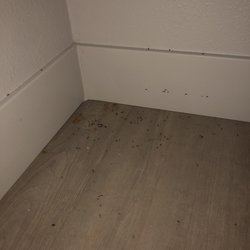 Strada 1200 Apartments - More mouse droppings.  Another cleaning after 2 mice were caught using a colleague's no-kill mouse traps from Amazon.