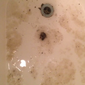 Trio Apartments - Sewage backup in bathtub on 2/13/2014. This is a first floor unit in the 650 W. Wayman building. - Apartments Near Me - Chicago, Illinois Trio Apartments - Sewage backup in bathtub on 2/13/2014. This is a first floor unit in the 650 W. Wayman building. - Apartments Near Me - Chicago, Illinois