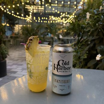 Saguaro - Drinks - Bars Near Me - Cambridge, Massachusetts Saguaro - Drinks - Bars Near Me - Cambridge, Massachusetts
