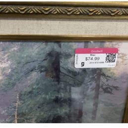 Most expensive framed art I have seen in Goodwill
