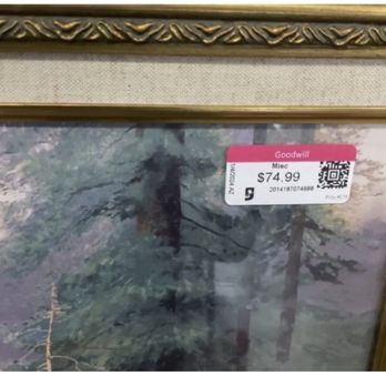 Goodwill - Most expensive framed art I have seen in Goodwill - Thrift Stores Near Me - Buckeye, Arizona
