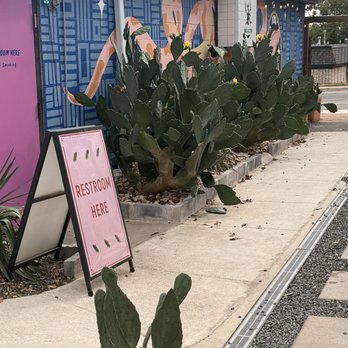 Nixta Taqueria - Mexican Near Me - Austin, Texas Nixta Taqueria - Mexican Near Me - Austin, Texas