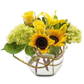 Scent & Violet - created with love @scentandviolet #florist in #Houston #Texas - Gift Shops Near Me - Houston, Texas