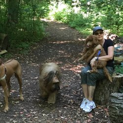 Divine Dog Care - Dog Adventure romp with Divine Dog Care at the trail