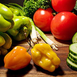 WellSource Chiropractic - Nutritional Advice and Help