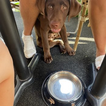 Longboard Cafe - The good boy - New American Near Me - Ocean City, Maryland