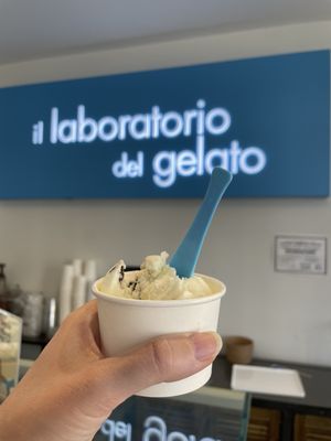 il laboratorio del gelato by null